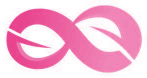 Metaverso